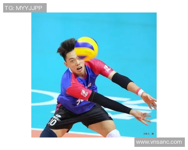 陈丽专访：从排球小将到冠军之路的心路历程回顾与展望